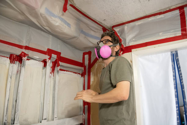 Mold Removal for HVAC Installations in Stafford Springs, CT