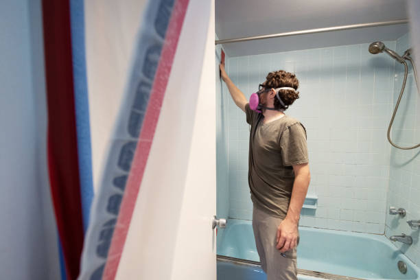 Best Mold Remediation for Healthcare Facilities  in Stafford Springs, CT