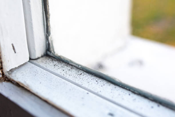 Mold Remediation for Rental Properties in Stafford Springs, CT